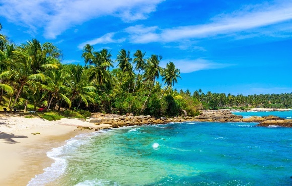 8-Day Sri Lanka Tour: Explore the Pearl of the Indian Ocean